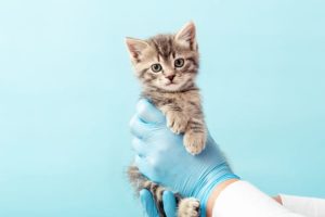 9f853f2b-e88f-4f2d-9ddb-01d2e2ea4a071659432620