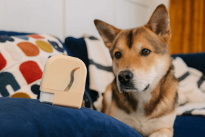 EZ-Treat-寵物零食分配器2_fb