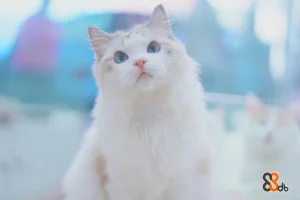 M-01c6f70b-522b-4abe-8ac5-72ae90bc6724