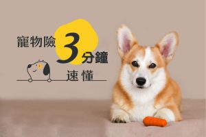 NO.1_S.075f09225925e7b1cbfd