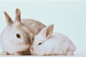 O1CN01dtWDAa1VtgD84scTx_!!2652102711-2-daren