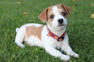 RnWoowUwUaWbUjTraVyj-6FYMm_TH-eUtdIZk7XSGZM