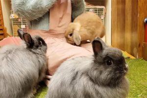 ab922160-daec-41d3-a1ae-c4d495c387a9