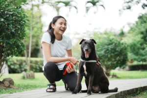 article-60c2de158c99d