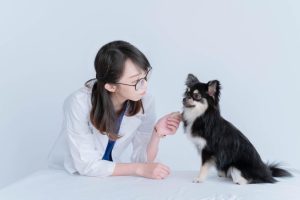 article-60d9959f16cf9