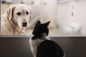 article-61cd0138c3d2b