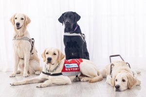 article-63c676c392f45