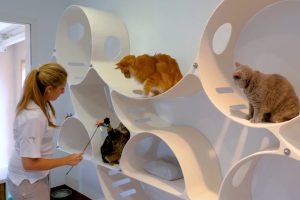 article-64350a179391a