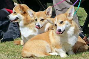 b32df9d9ede21a5142e1eace19c17e91