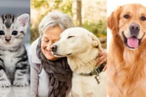 c014e89680e995ea4de1dd10f2ca70b7