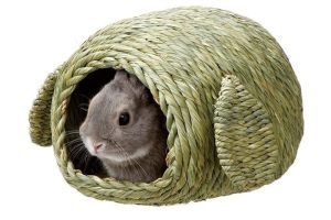 c1abbe92209a3580d9ea2eb952630dbb