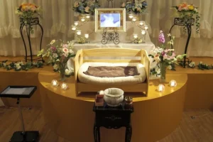 cropped-1_p162TE1rQFlWS0N9neXhPQ