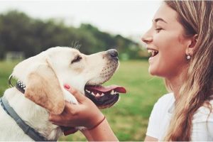 d7e995a5f80c5a4c819b9cde8057efce_l