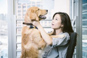 dFaNxVhi_5THUFcIQQNgM3-hiyO0K1yFxbb-C8W2_gs