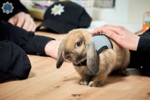 dduvs_ua_179556536_169436645072536_4533590301808471809_n