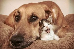 ecc18fd8-1578301810-c9631920b5e80577c065b3fba7ef3155-768x576