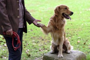 f44e3bde4b9c447aa841e40d3fdb8043_th