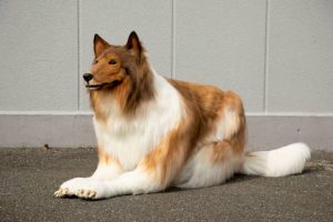 md-4dda89bc7c4562dc824316d173ee9553