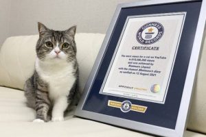 md-b2f4649042a5b96900ad95dab19923e6