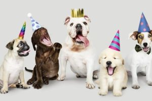 mobile01-fdfe1bfd37312acf971e80481a9ebe9e