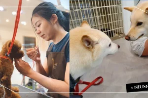 posts_image3_106090_1620189487