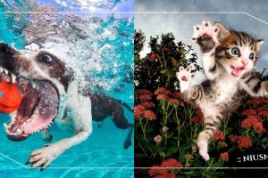 posts_image3_107001_1621858636