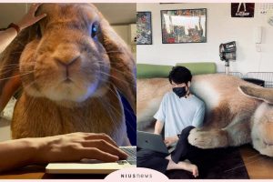 posts_image3_109675_1627979462