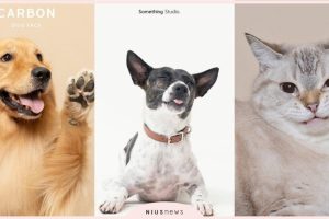 posts_image3_114045_1639455144