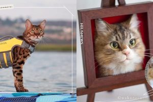 posts_image3_114060_1639469793