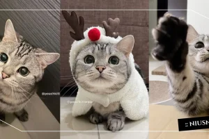 posts_image3_114391_1640248448