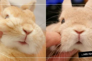 posts_image3_115001_1642128732