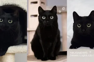 posts_image3_116188_1646732225