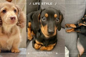 posts_image3_118073_1654483330