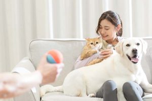 pruchoice-pet-insurance-766x432