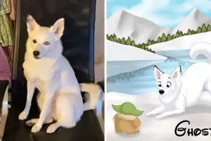 qZqWzp-JlqGc29bLmZ2emI3Y1d4