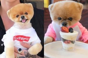 tumblr_inline_oy9zlvPb7T1twk74p_1280