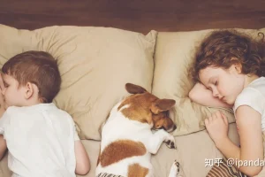 v2-07927ad5e16d2db656fe542d97b3532a_1440w