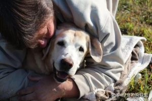 v2-829e02265e694ad56aaa267d8dbf55a1_b