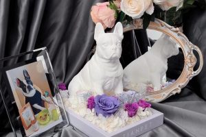 v2-dea2516af7535216e3be867fd0c048f2_720w