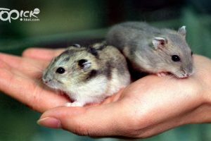 yauf20020728004_1024_1024