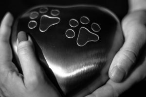 Two hands holding dogs urn