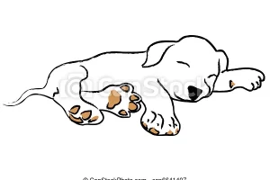 小狗-睡覺-插圖_csp6641407