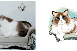 平方樹寵物插畫