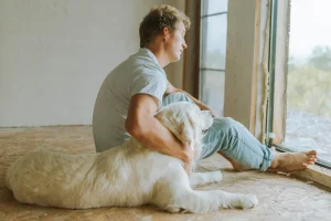 環保之選：寵物水化善終的全面解析