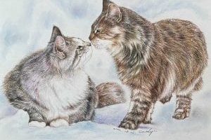 緬因貓色鉛筆_粉彩-800-300x300